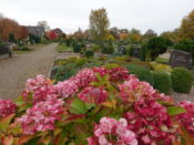 Friedhof Schulenburg Leine 3