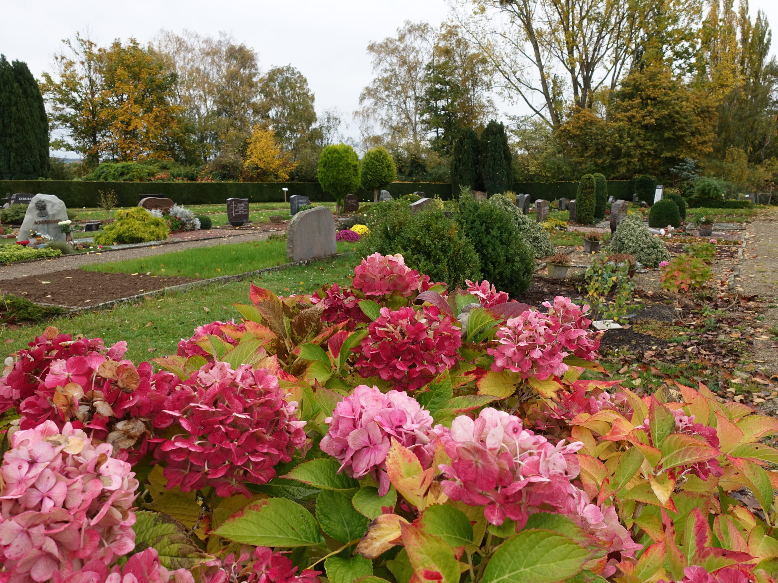 Friedhof Schulenburg Leine 4