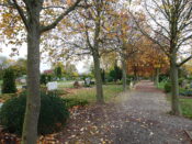 Friedhof Schulenburg Leine 5